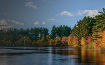 Welcome to the new Angel Burke Law website.